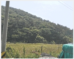  2025Ÿ��15704  �Ӿ߰��