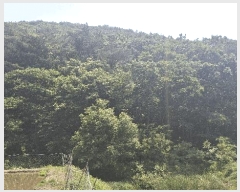  2025Ÿ��15704  �Ӿ߰��