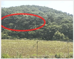  2025Ÿ��15704  �Ӿ߰��