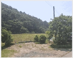  2025Ÿ��15704  �Ӿ߰��