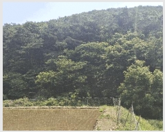  2025Ÿ��15704  �Ӿ߰��