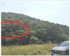  2025Ÿ��15704  �Ӿ߰��