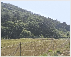  2025Ÿ��15704  �Ӿ߰��