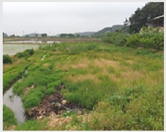  2025Ÿ��15716 �泲 ȫ���� �Ἲ�� ���׸� 168-18      ����(��)���