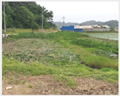  2025Ÿ��15716 �泲 ȫ���� �Ἲ�� ���׸� 168-18      ����(��)���