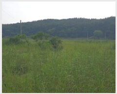  2025Ÿ��15723  ����