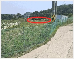  2025Ÿ��15729  �����