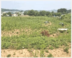  2025Ÿ��15729  �����