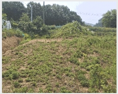  2025Ÿ��15729  �����