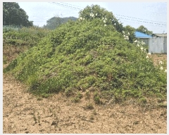  2025Ÿ��15729  �����