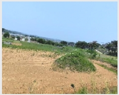  2025Ÿ��15729  �����