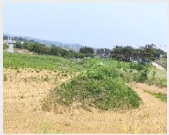  2025Ÿ��15729  �����