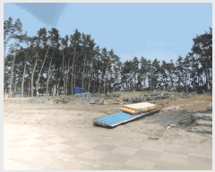  2025Ÿ��15736 �泲 ��õ�� ���� ���и� 1388      ����(����)���