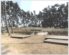  2025Ÿ��15736 �泲 ��õ�� ���� ���и� 1388      ����(����)���