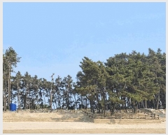  2025Ÿ��15736 �泲 ��õ�� ���� ���и� 1388      ����(����)���