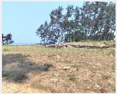  2025Ÿ��15736 �泲 ��õ�� ���� ���и� 1388      ����(����)���