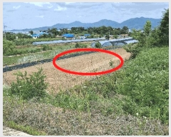  2025Ÿ��15758 �泲 ���걺 ������ ���̸� 25      ����(��1)���