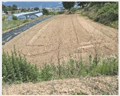  2025Ÿ��15758 �泲 ���걺 ������ ���̸� 25      ����(��1)���