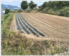  2025Ÿ��15758 �泲 ���걺 ������ ���̸� 25      ����(��1)���