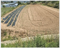  2025Ÿ��15758 �泲 ���걺 ������ ���̸� 25      ����(��1)���