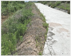  2025Ÿ��15758 �泲 ���걺 ������ ���̸� 25      ����(��1)���