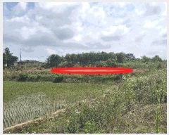  2025Ÿ��15758 �泲 ���걺 ������ ���̸� 25      ����(��1)���