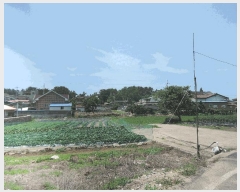  2025Ÿ��15776  �����