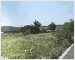  2025Ÿ��15776  �����