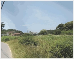  2025Ÿ��15776  �����