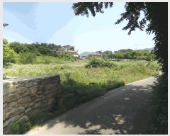  2025Ÿ��15776  �����