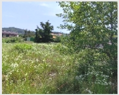  2025Ÿ��15776  �����