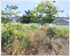  2025Ÿ��15776  �����