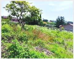  2025Ÿ��15776  �����