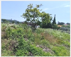  2025Ÿ��15776  �����