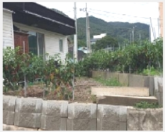  2025Ÿ��15883  ���ð��