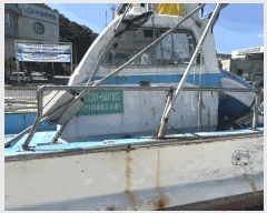  2025Ÿ��15920 �泲 ���ɽ� ���浿 ��õ��       ���ڰ��