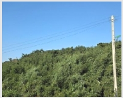  2025Ÿ��15984 �泲 ���ɽ� ��õ�� ���굵�� 333-6      ����(�Ӿ�)���