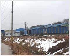  2025Ÿ��238 �泲 ȫ���� ���� ���۸� 305-1      ������