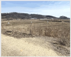  2025Ÿ382 泲 ȫ  õ¸ 676-2      ()