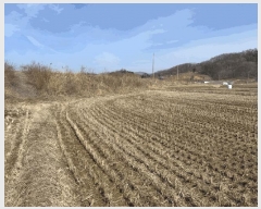  2025Ÿ382 泲 ȫ  õ¸ 676-2      ()