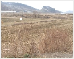  2025Ÿ382 泲 ȫ  õ¸ 676-2      ()