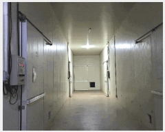  2025Ÿ399 泲 걺 žϸ ΰ 379-2      ,â