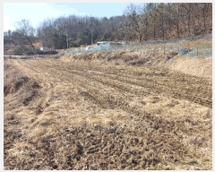  2025Ÿ��542 �泲 ���걺 ���ø� �������� 52      ����(��)���