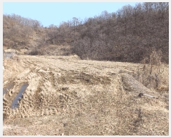  2025Ÿ��542 �泲 ���걺 ���ø� �������� 52      ����(��)���