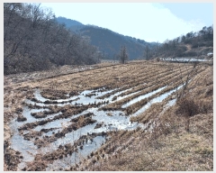  2025Ÿ��542 �泲 ���걺 ���ø� �������� 52      ����(��)���