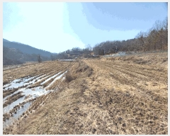  2025Ÿ��542 �泲 ���걺 ���ø� �������� 52      ����(��)���