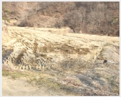  2025Ÿ��542 �泲 ���걺 ���ø� �������� 52      ����(��)���