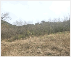  2025Ÿ��863 �泲 ���걺 ������ �꼺�� 86-1      ����(��)���