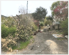  2025Ÿ��863 �泲 ���걺 ������ �꼺�� 86-1      ����(��)���