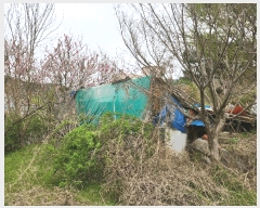  2025Ÿ��863 �泲 ���걺 ������ �꼺�� 86-1      ����(��)���